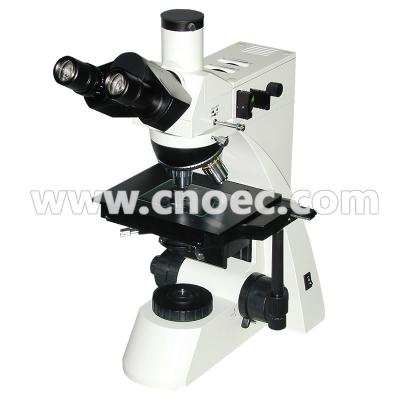 China Binocular Head Compound Metallurgical Optical Microscope A13.0209 for sale