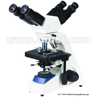China 40x - 1000X Teaching Multi Viewing Microscope 2 Position With Coaxial Coarse A17.1101 for sale