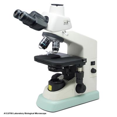 China CFI Optical System Compound Optical Microscope A12.0705 For Laboratory for sale