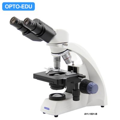 China Teaching OPTO-EDU A11.1531 40X Compound Light Microscope for sale