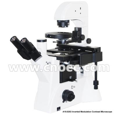 China Bright Field Inverted Modulation Phase Contrast Microscope Infinity Plan  A19.0203 for sale