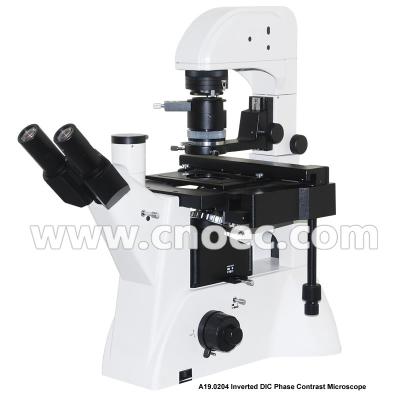 Китай Поле перевернутое Trinocular участка безграничности контраста микроскопа DIC яркое A19.0204 продается