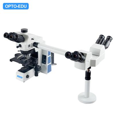 China Inclined 22mm Multi Viewing Microscope Opto-Edu A17.0950-3 for sale