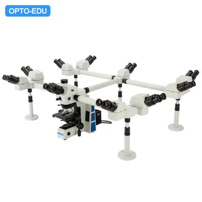 China PL10x Opto-Edu A17.0950-10 Multi View Microscope CE for sale