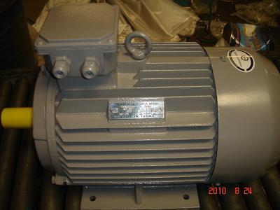 China YE3-132M-4 Efficiency Three Phase Ac Electric Motor 220/380/460V 355mm Shaft Height 1120kg for sale