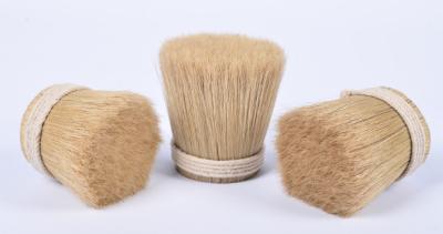 China Washed bristles for sale