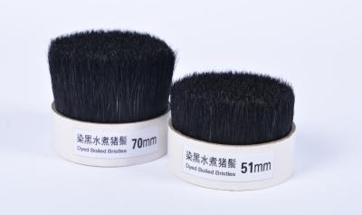 China Dyed boiled bristles for sale