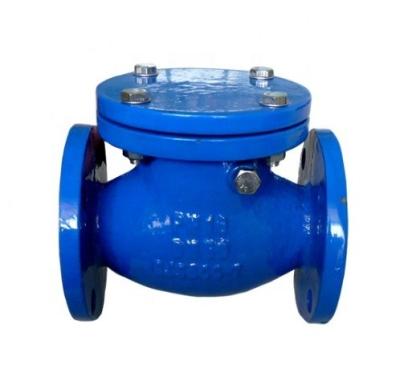 China DN200 PN16 Flange End Swing Check Valves with Customizable Port Size Y Type Strainer for sale