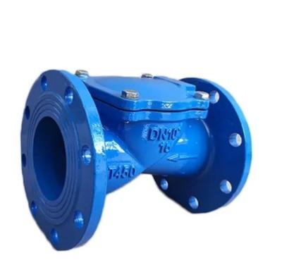 China Customized Service 2 inch 3 inch 4 inch ductile iron ANSI flange rubber disc check valve for sale