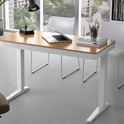 China Cold Rolled Carbon Steel Electric Lifting Desk Study Gaming Table With Audio for sale