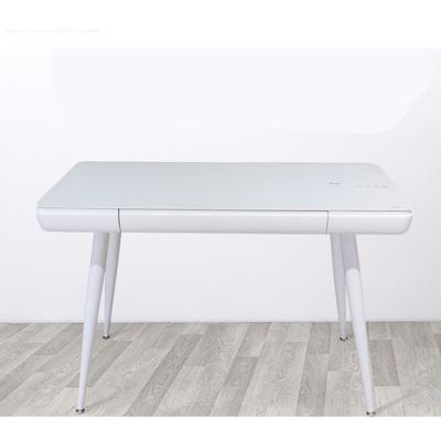 China Cappellini Plank Multifunctional Laptop Computer Table 30KG for sale