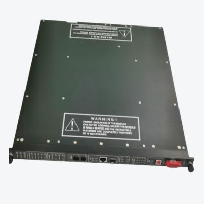 China TRICONEX 9750-810 INPUT VOLTAGE LONG TERM BOARD for sale