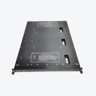 China TRICONEX 9763-810 INPUT VOLTAGE LONG TERM BOARD for sale