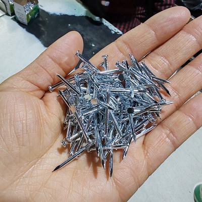 China High Strength Electro Galvanized Nails Steel Small Nails For Concrete for sale
