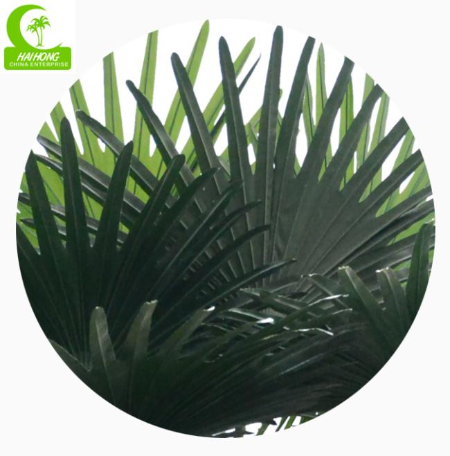 fake fan palm