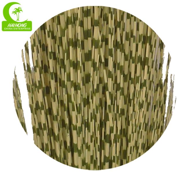 zebra onion grass