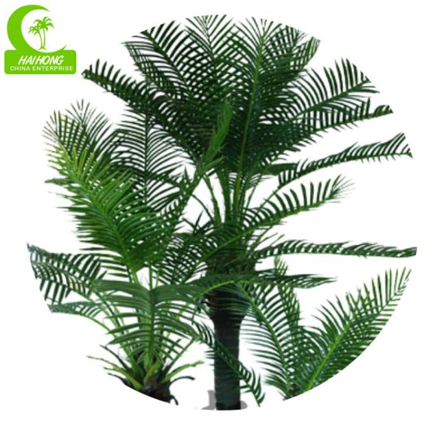 palm tree