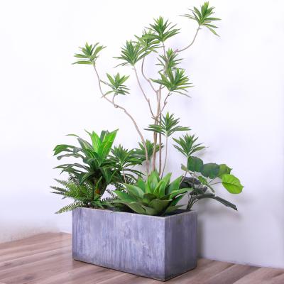 China Natural Wood Artificial Landscape Trees Lily Bamaboo For Home Decor Evergreen No Water for sale