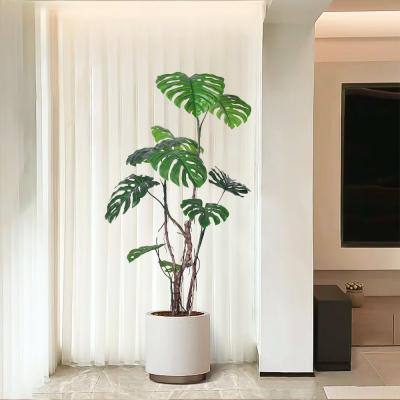 中国 160cm/200cm/240cm モンステラ 人工観葉植物 デリシオサ 密な葉 販売のため