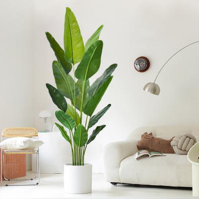中国 人工観葉植物バードオブパラダイス - 卸売りのリアルなフェイクパームツリーメーカー直販 販売のため