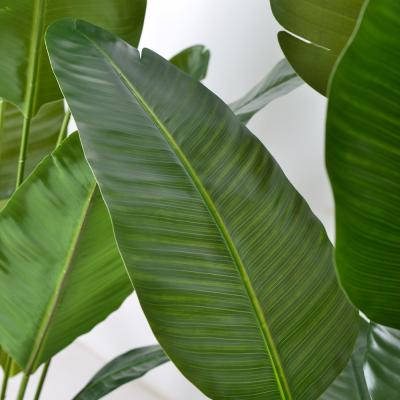 中国 人工観葉植物バードオブパラダイス - 卸売りのリアルなフェイクパームツリーメーカー直販 販売のため