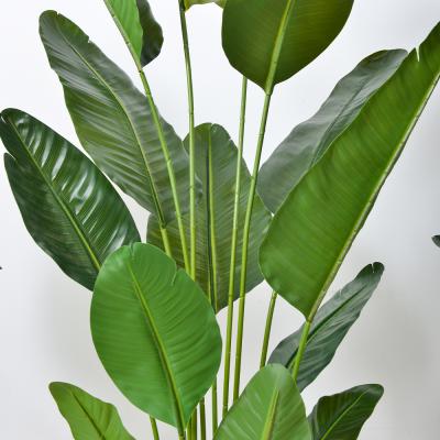 中国 人工観葉植物バードオブパラダイス - 卸売りのリアルなフェイクパームツリーメーカー直販 販売のため