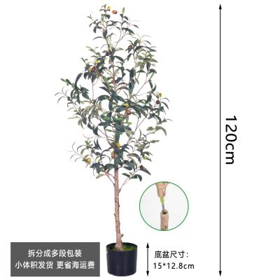 中国 人工 オリーブ 木 屋内 - 現実 的 な 偽り の オリーブ 木 住宅 ・ 事務 所 の 卸売 販売のため