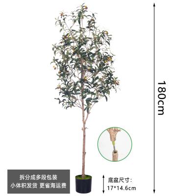 中国 人工 オリーブ 木 屋内 - 現実 的 な 偽り の オリーブ 木 住宅 ・ 事務 所 の 卸売 販売のため