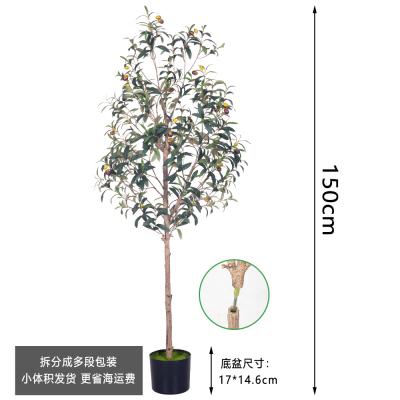 中国 人工 オリーブ 木 屋内 - 現実 的 な 偽り の オリーブ 木 住宅 ・ 事務 所 の 卸売 販売のため