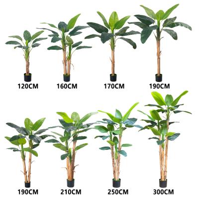 China Venta al por mayor 7 FT Plantas artificiales de banano tronco de corteza natural mantenimiento gratuito palma interior para salón y oficina en venta