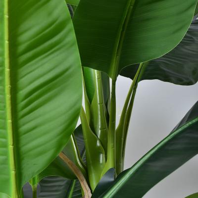 China Venta al por mayor 7 FT Plantas artificiales de banano tronco de corteza natural mantenimiento gratuito palma interior para salón y oficina en venta