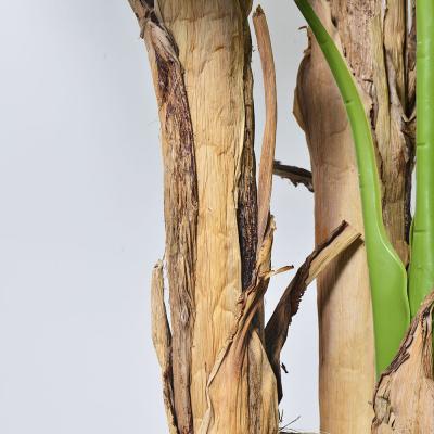 China Venta al por mayor 7 FT Plantas artificiales de banano tronco de corteza natural mantenimiento gratuito palma interior para salón y oficina en venta