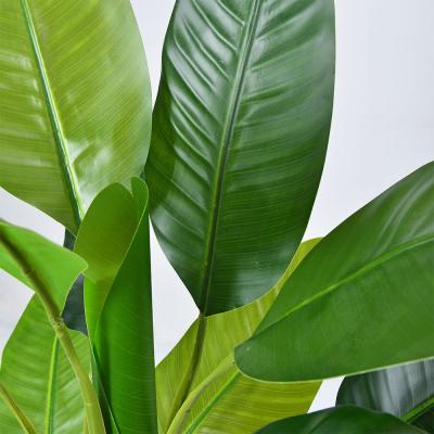 China Venta al por mayor 7 FT Plantas artificiales de banano tronco de corteza natural mantenimiento gratuito palma interior para salón y oficina en venta