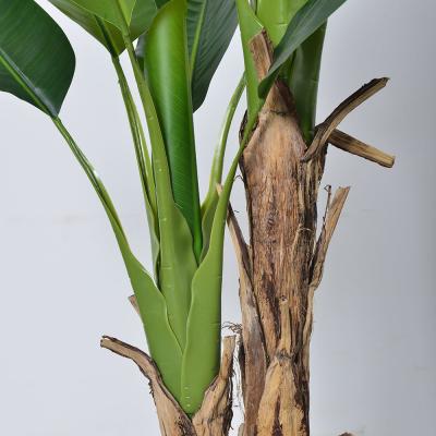 China Venta al por mayor 7 FT Plantas artificiales de banano tronco de corteza natural mantenimiento gratuito palma interior para salón y oficina en venta