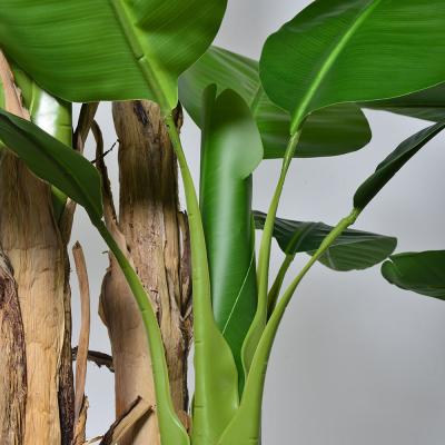 China Venta al por mayor 7 FT Plantas artificiales de banano tronco de corteza natural mantenimiento gratuito palma interior para salón y oficina en venta