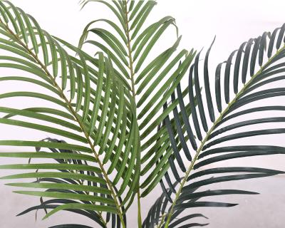中国 偽のシルク ハワイの棕木 人工植物 卸売 室内用 家庭用 リビング コーナー 装飾 偽の熱帯植物 販売のため