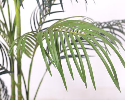 中国 偽のシルク ハワイの棕木 人工植物 卸売 室内用 家庭用 リビング コーナー 装飾 偽の熱帯植物 販売のため
