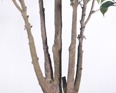 China Ultra-Realistic Multi-Trunk Faux Ficus Tree 2.5m Artificial Banyan Tree For Decoration Of Hotel Home Living Room for sale