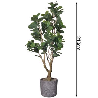 China Multi-Stem 7ft Artificial Ficus Lyrata Faux Fiddle Leaf Fig Plant For Lobby Apartments hotel decolation for sale