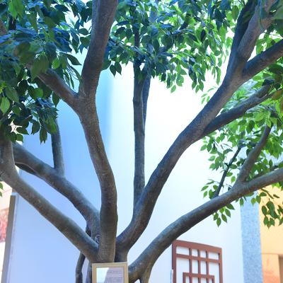 China Customized Height faux banyan tree fire resistant Large Commercial Ficus Artificial Tree For Indoor Decoartion for sale