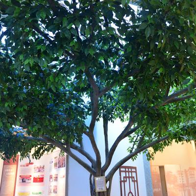 China Customized Height faux banyan tree fire resistant Large Commercial Ficus Artificial Tree For Indoor Decoartion for sale