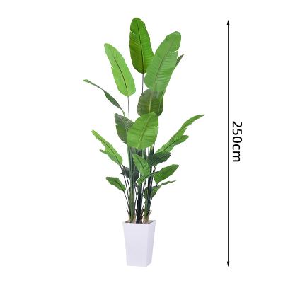 中国 高品質人工観葉植物 2.5m 大型室内ユリノキ 屋内装飾用植物 販売のため