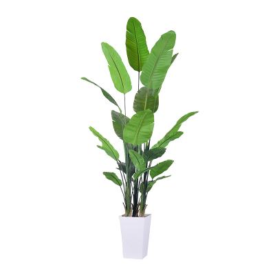 中国 高品質人工観葉植物 2.5m 大型室内ユリノキ 屋内装飾用植物 販売のため