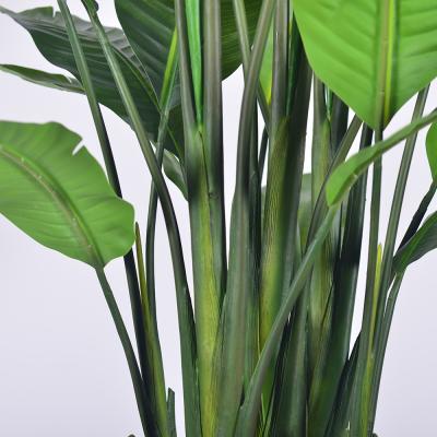 中国 高品質人工観葉植物 2.5m 大型室内ユリノキ 屋内装飾用植物 販売のため