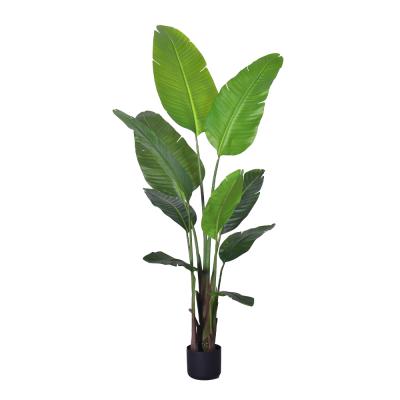 中国 人工ヤシの木 4フィート 5.3フィート 6フィート ベスト人工ストレリチア植物 緑の盆栽 熱帯人工植物 パーティー ホテル ウェディング装飾 販売のため