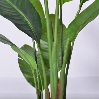 中国 人工ヤシの木 4フィート 5.3フィート 6フィート ベスト人工ストレリチア植物 緑の盆栽 熱帯人工植物 パーティー ホテル ウェディング装飾 販売のため