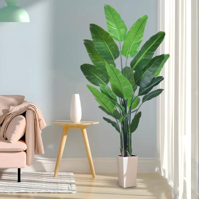 China Faux Traveller's Palm Tree (artificial birds of paradise plant) - 180cm/210cm Realistic PE Leaf Artificial Plant for Indoor Outdoor Decor for sale