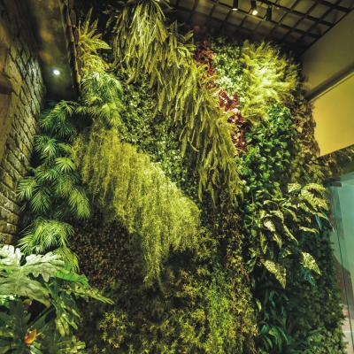 China Llueva la vertical de descoloramiento anti realista resistente que se pone verde para el jardín en venta