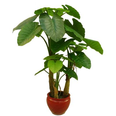 China High Simulation Lager Leaves Plant Artificial Elephant's Ear Tree With Three Trunk For Landscaping for sale