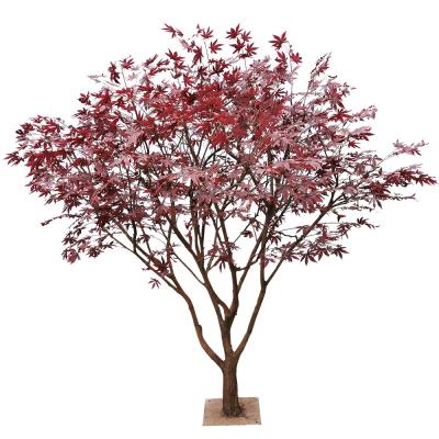 China All Season Simulated Anti UV Artificial Maple Tree Indoor Ornament for sale